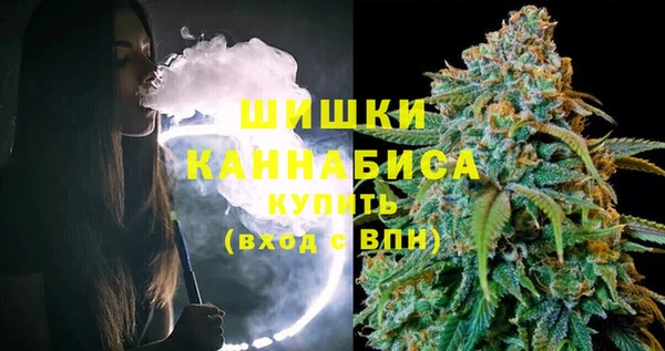 крисы Россошь