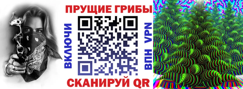 Псилоцибиновые грибы Psilocybine cubensis где купить наркоту Суздаль